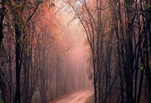 江南体育：登祖连线！哈登秀直塞妙传，助飞祖巴茨顺下双手暴扣！.