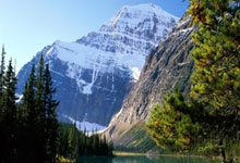 范迪三兄弟等海外球员全缺席 雄狮组本地联赛球员参赛.