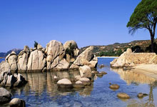 江南体育：国足主帅伊万：面对澳大利亚队，要勇敢也要踢得聪明杭州网.